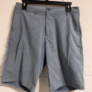 Casual Light Blue Men's Flat Front Shorts